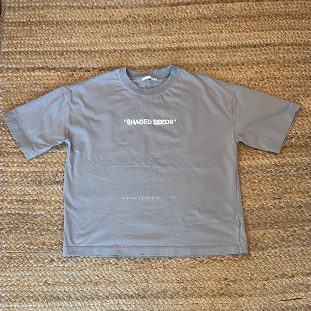 Zara Gray Men's T-Shirt